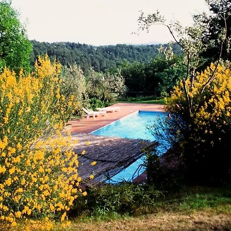 Apartment Brucianesi Sleeps 2 Pool Wifi T763516